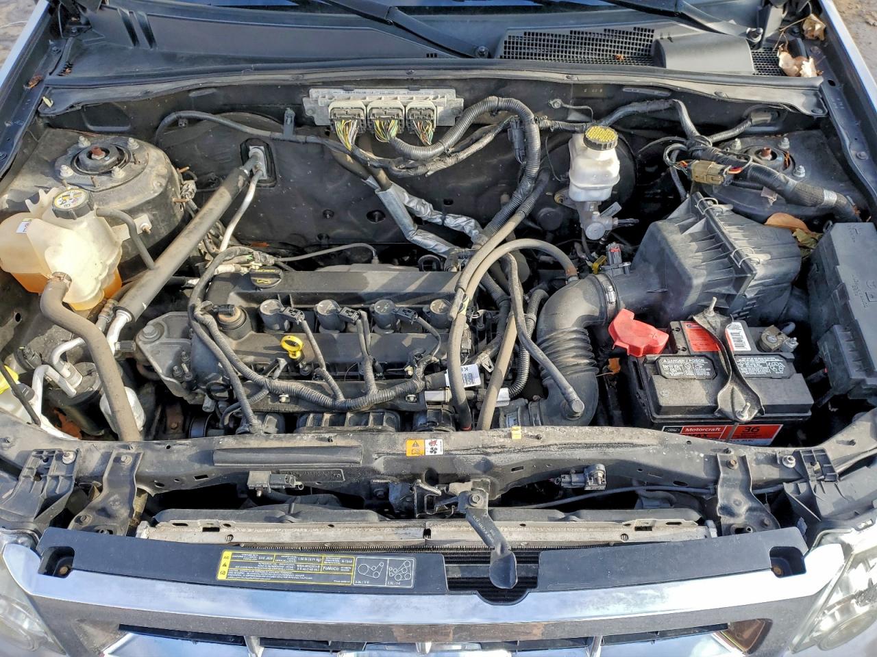 2010 FORD ESCAPE XLT photo 12