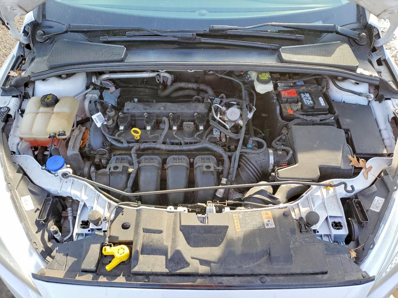 2017 FORD FOCUS SE photo 11