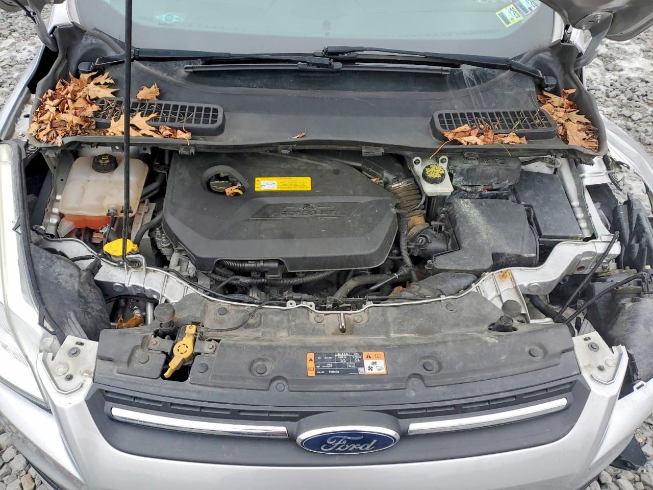 2015 FORD ESCAPE SE photo 12