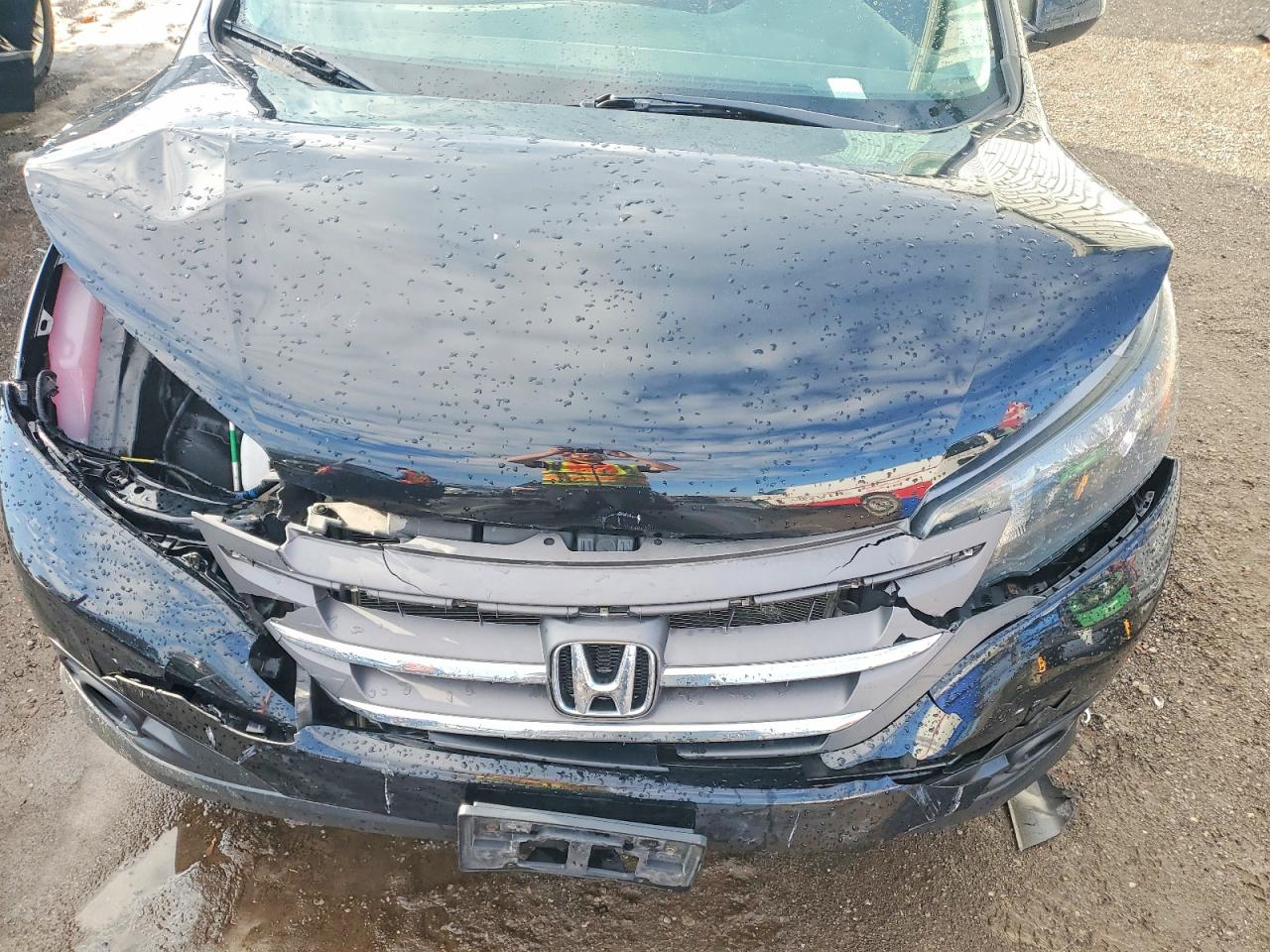2013 HONDA CR-V EXL photo 12