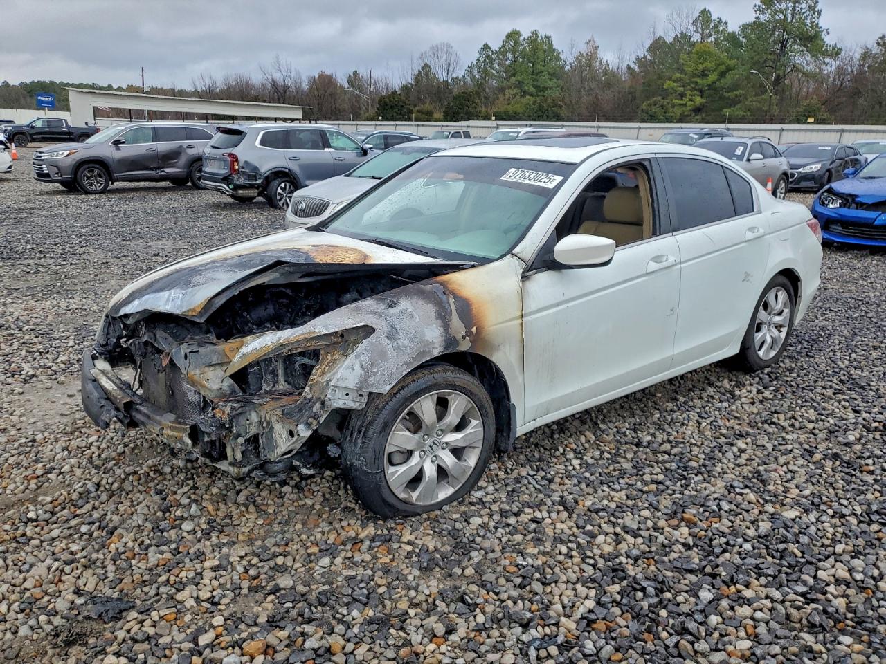 2008 HONDA ACCORD EXL — BURN - ENGINE damage — photo 1