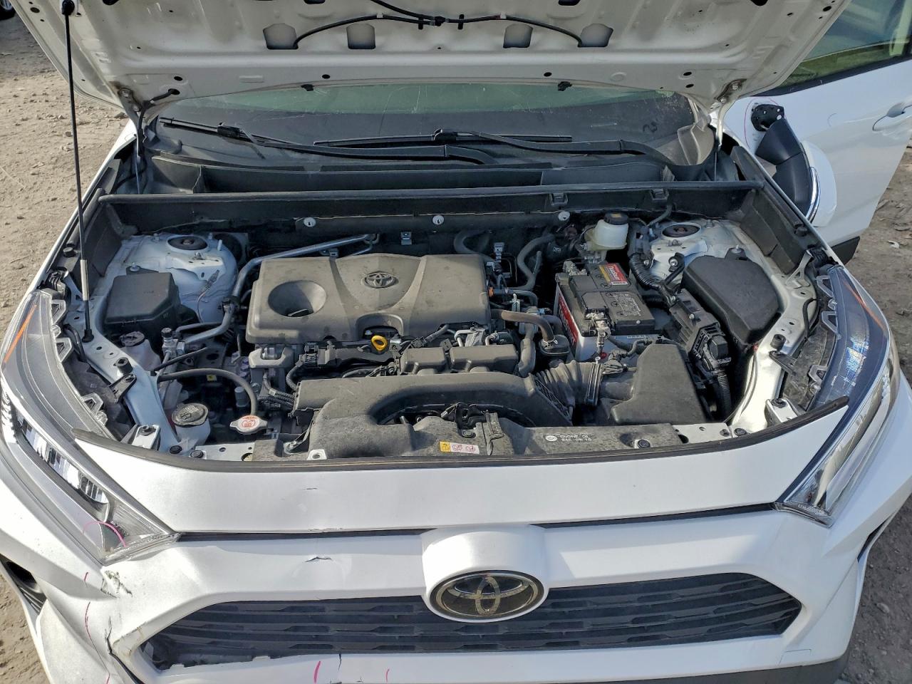 2019 TOYOTA RAV4 XLE photo 12