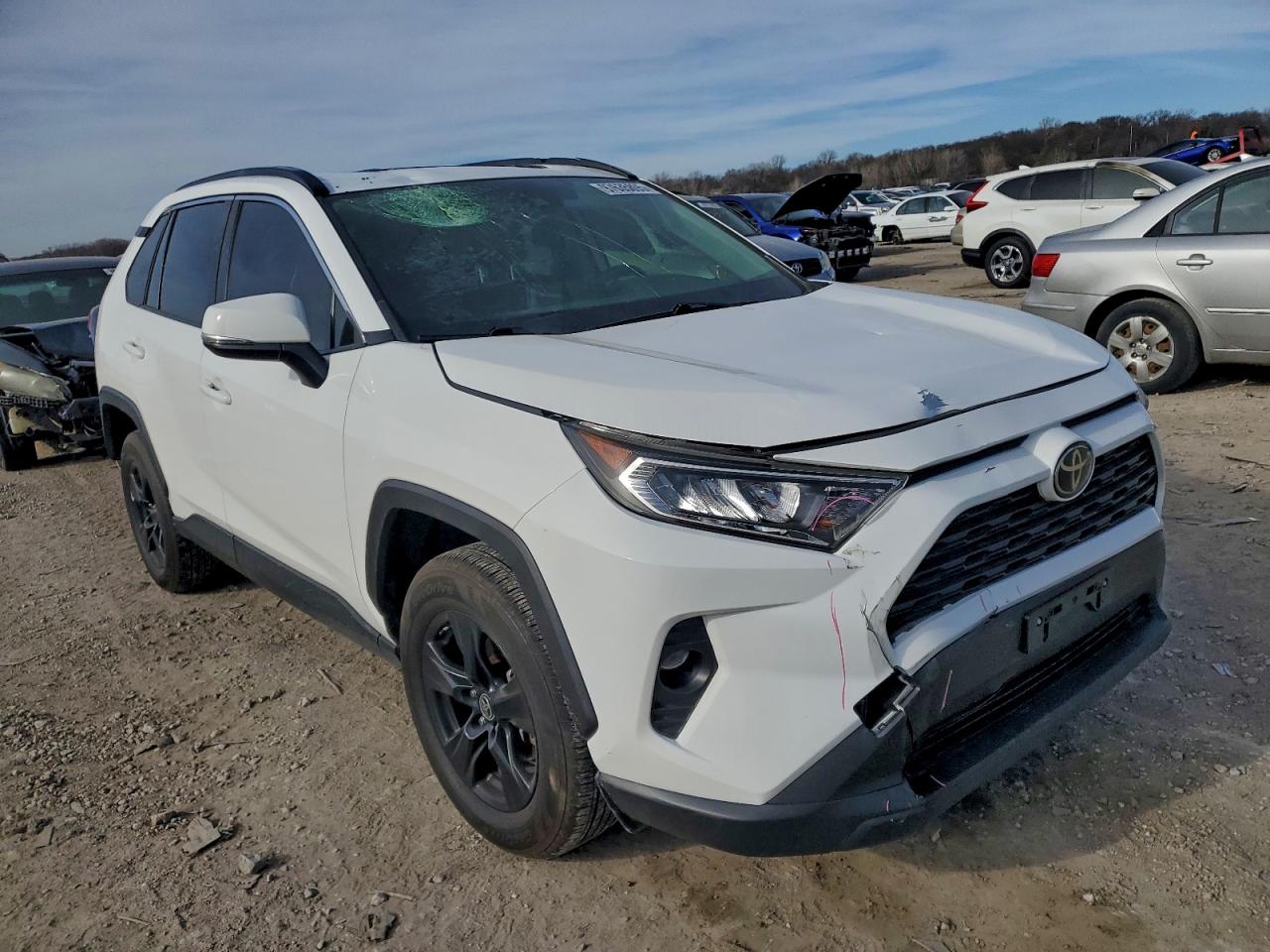 2019 TOYOTA RAV4 XLE photo 4