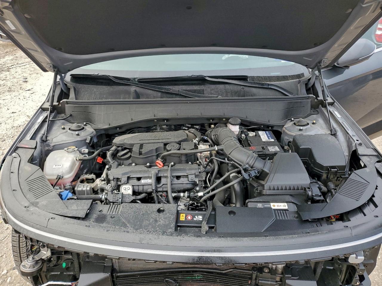2024 HYUNDAI KONA LIMITED photo 12