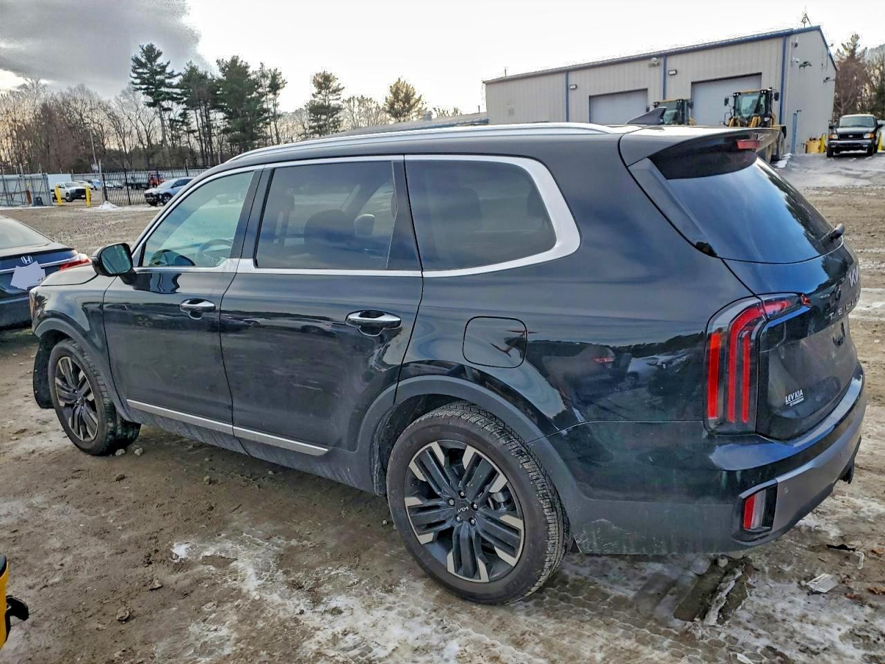 2025 KIA TELLURIDE SX photo 2