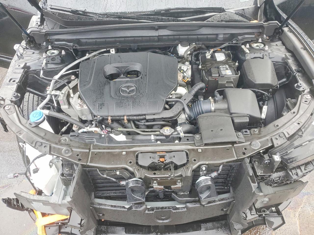 2025 MAZDA CX-50 PREMIUM photo 12