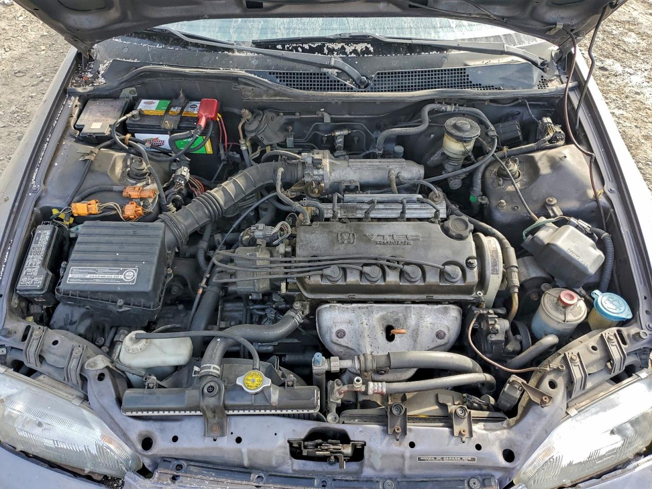 1995 HONDA CIVIC EX photo 11