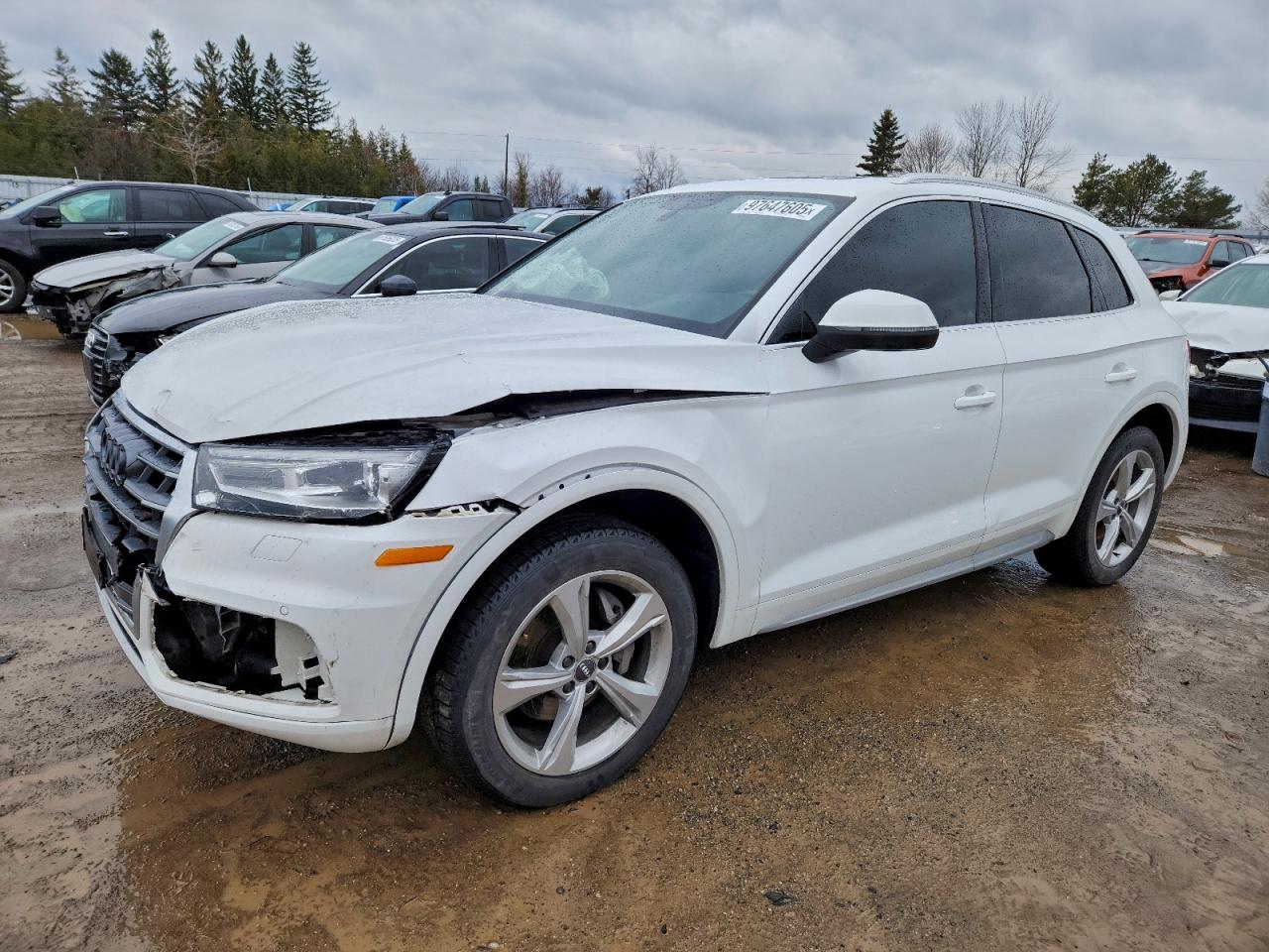 2019 AUDI Q5