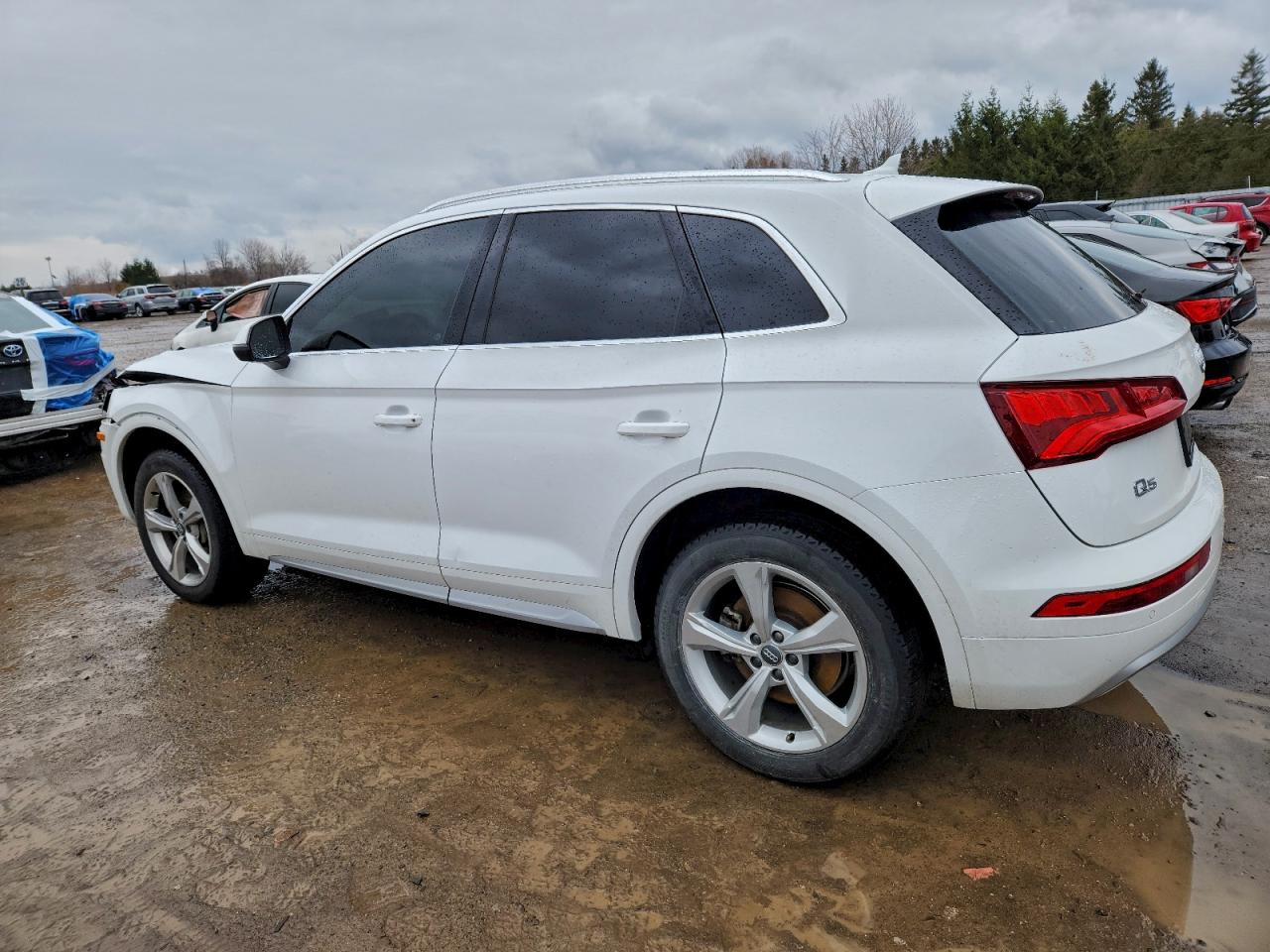 2019 AUDI Q5 PREMIUM PLUS photo 2