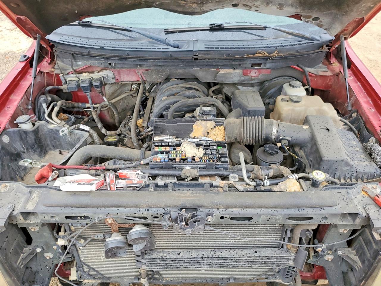 2010 FORD F150 SUPERCREW photo 11