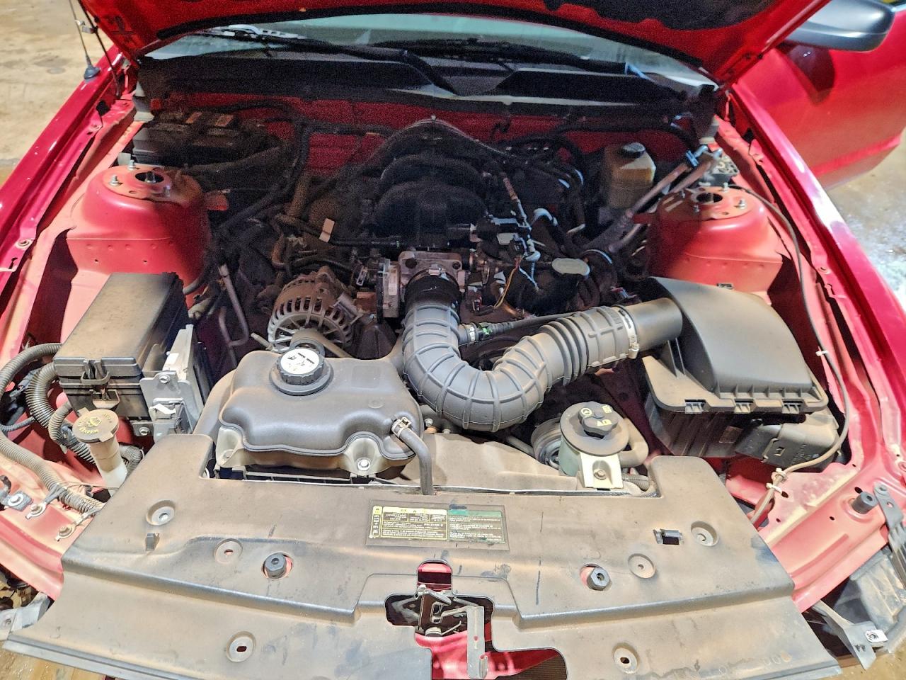 2008 FORD MUSTANG photo 11