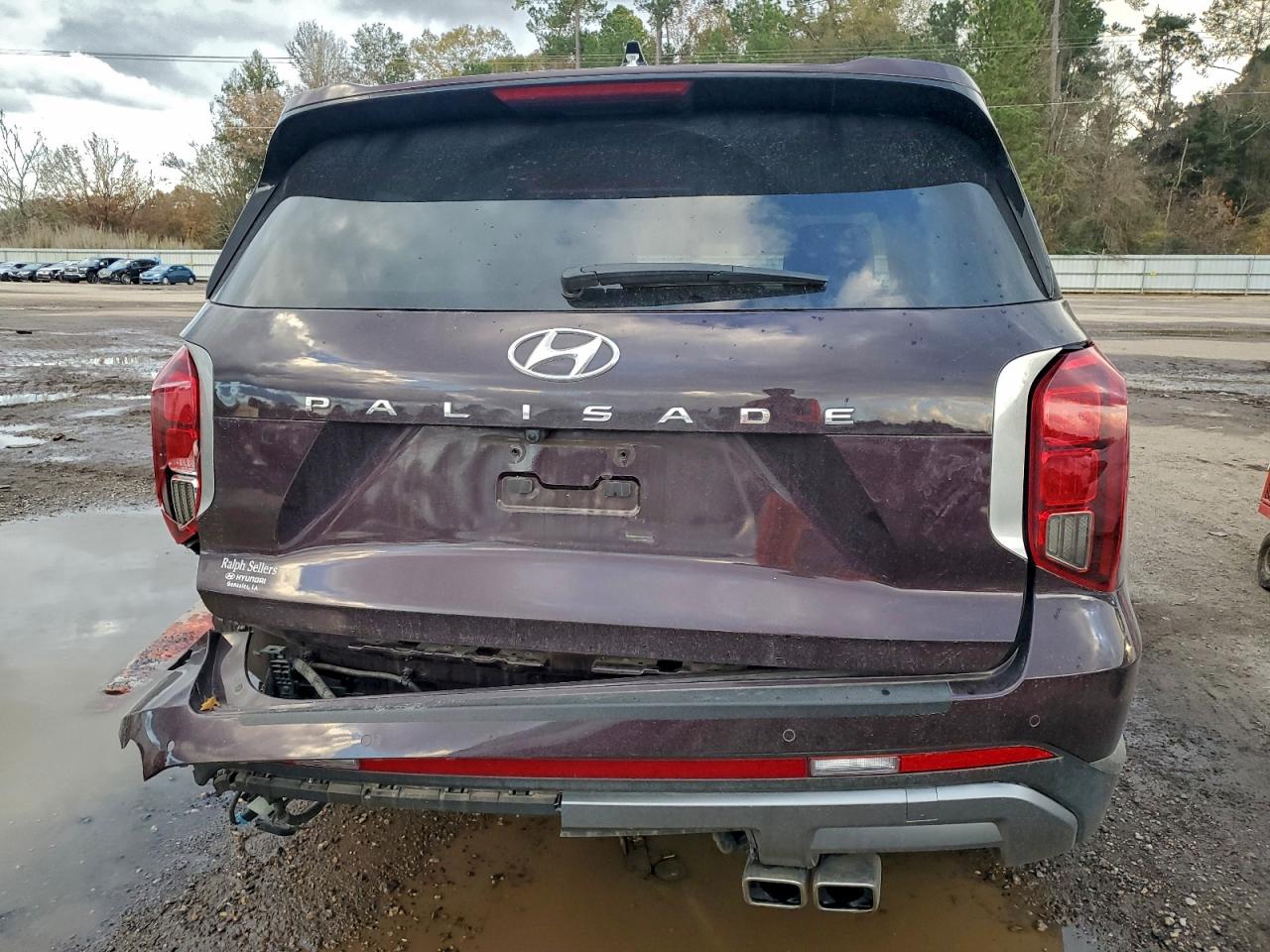 2024 HYUNDAI PALISADE SEL PREMIUM photo 6