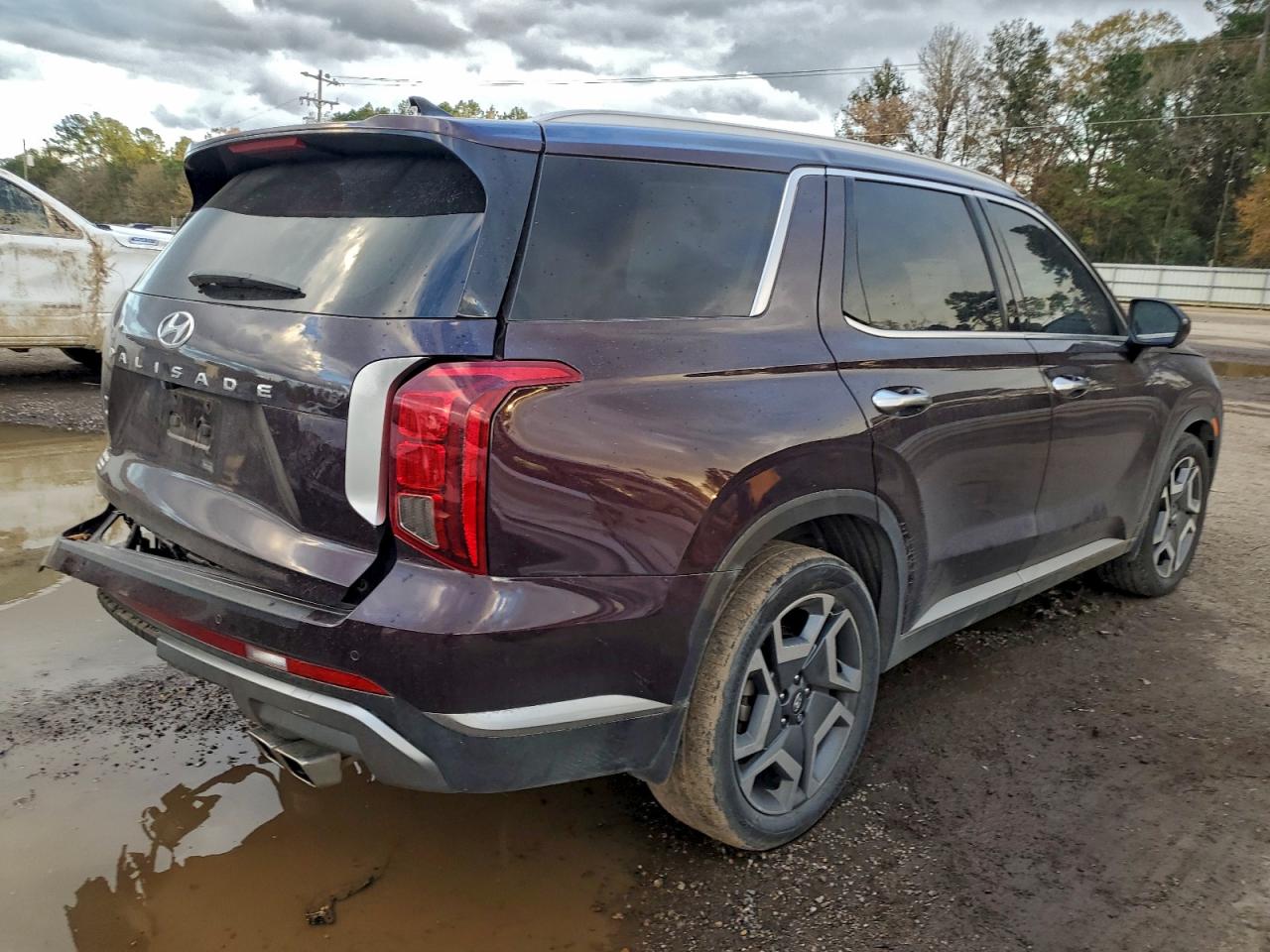 2024 HYUNDAI PALISADE SEL PREMIUM photo 3