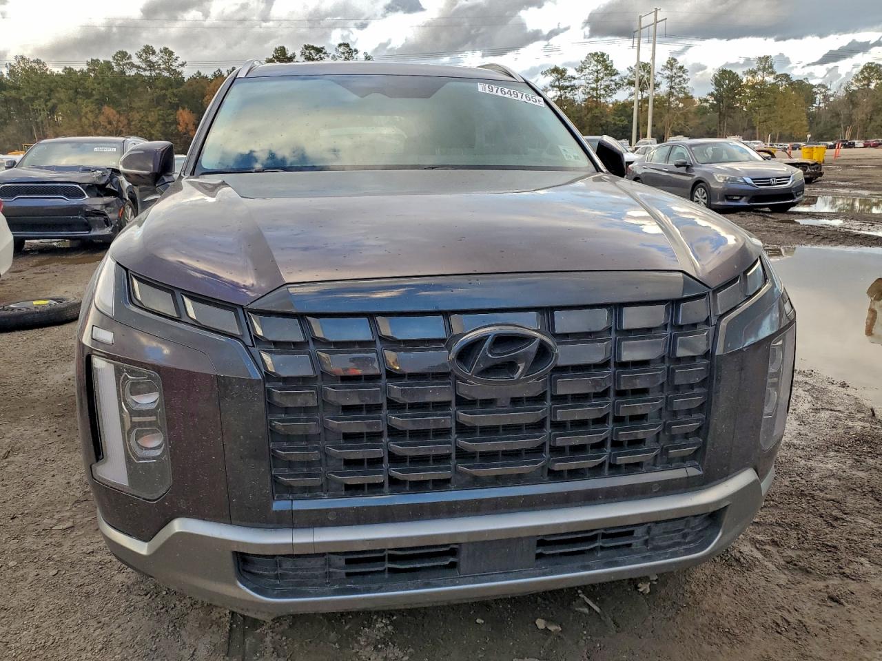 2024 HYUNDAI PALISADE SEL PREMIUM photo 5