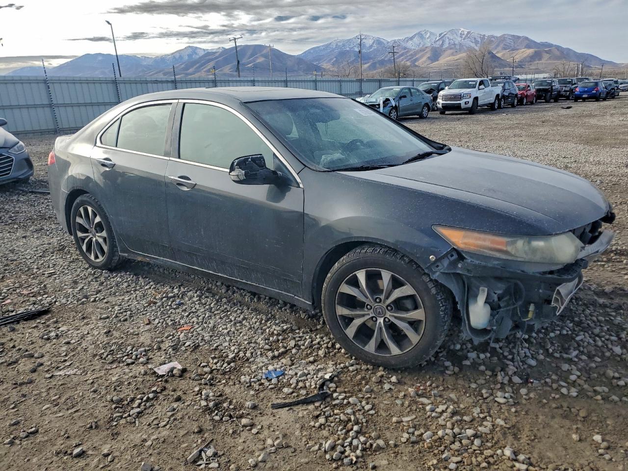 2013 ACURA TSX photo 10