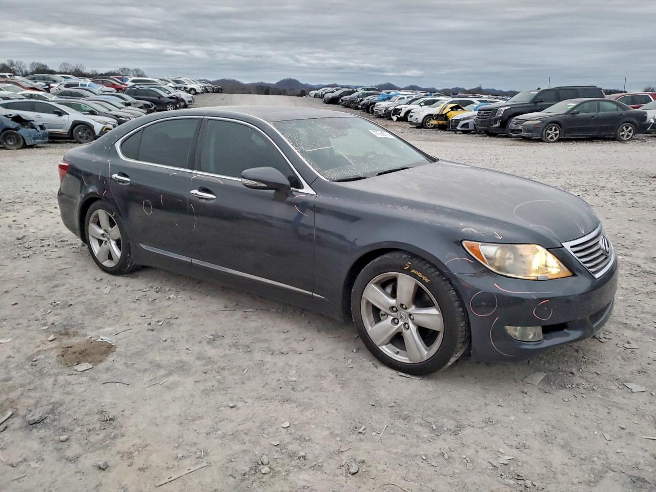 2010 LEXUS LS 460 photo 7