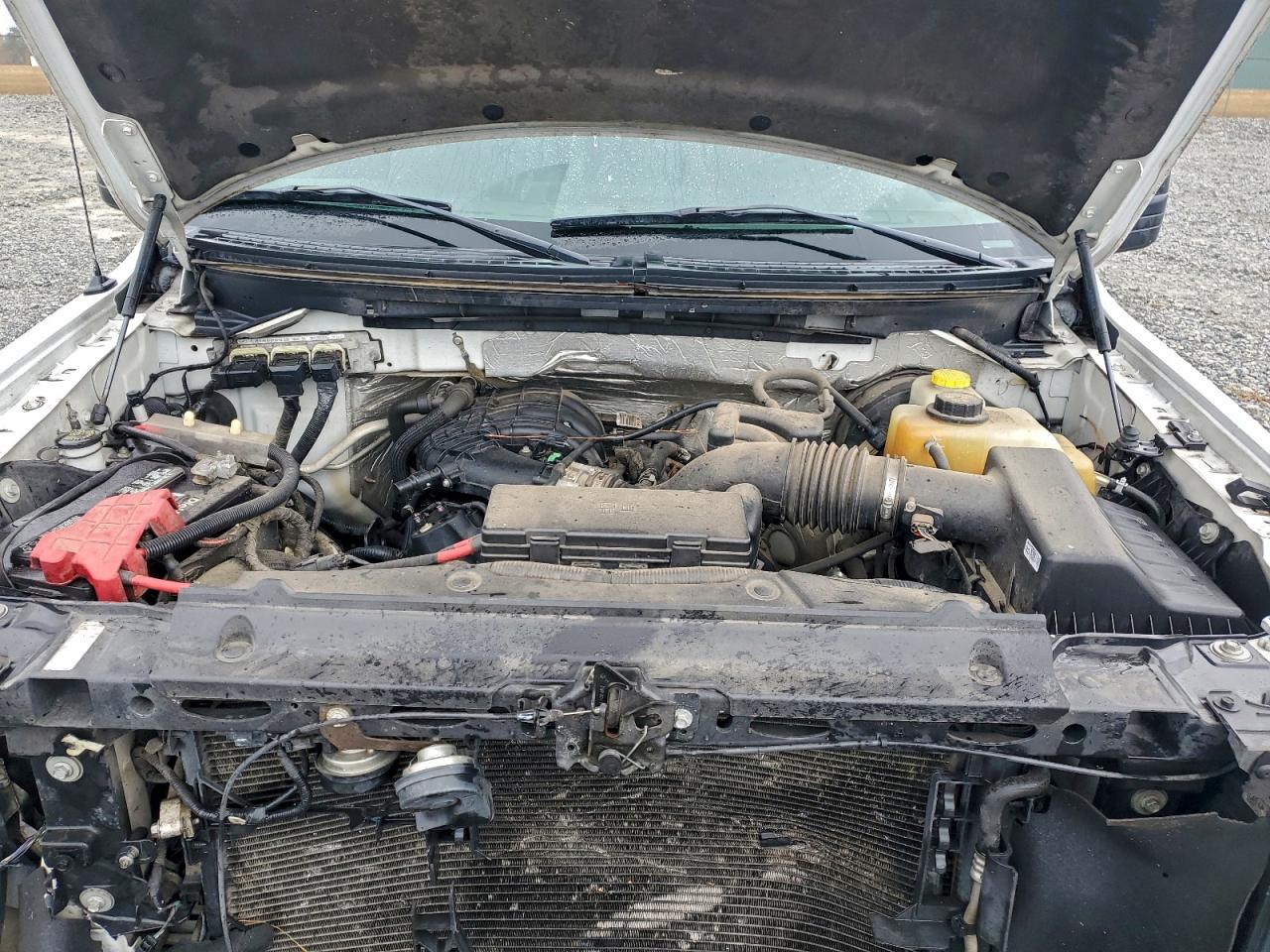 2014 FORD F150 photo 11