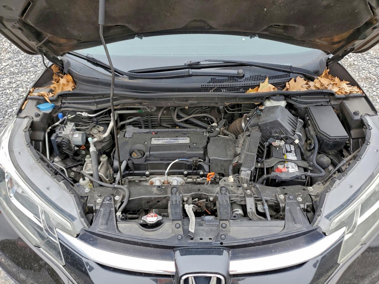 2015 HONDA CR-V LX photo 12