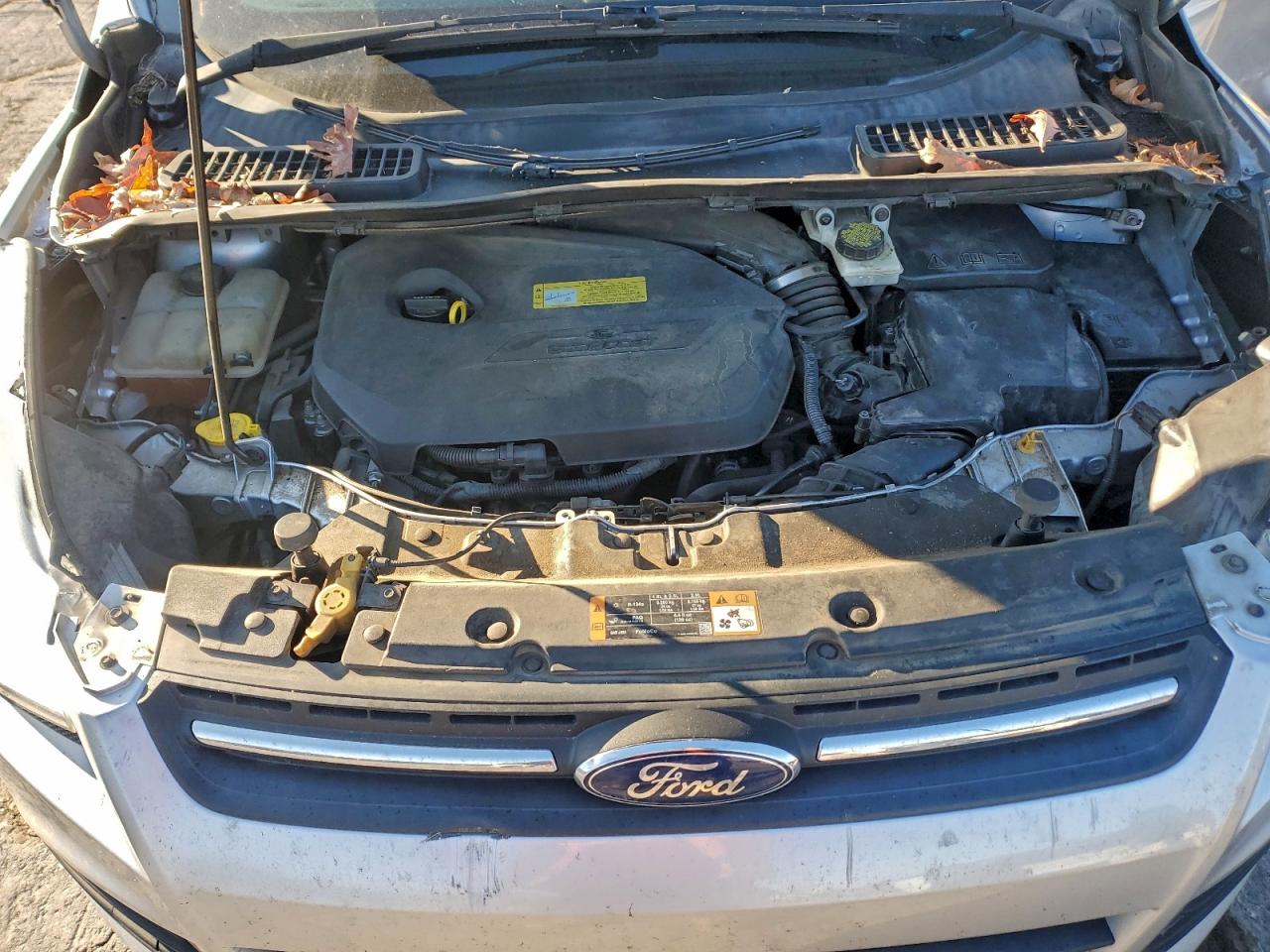 2016 FORD ESCAPE SE photo 11