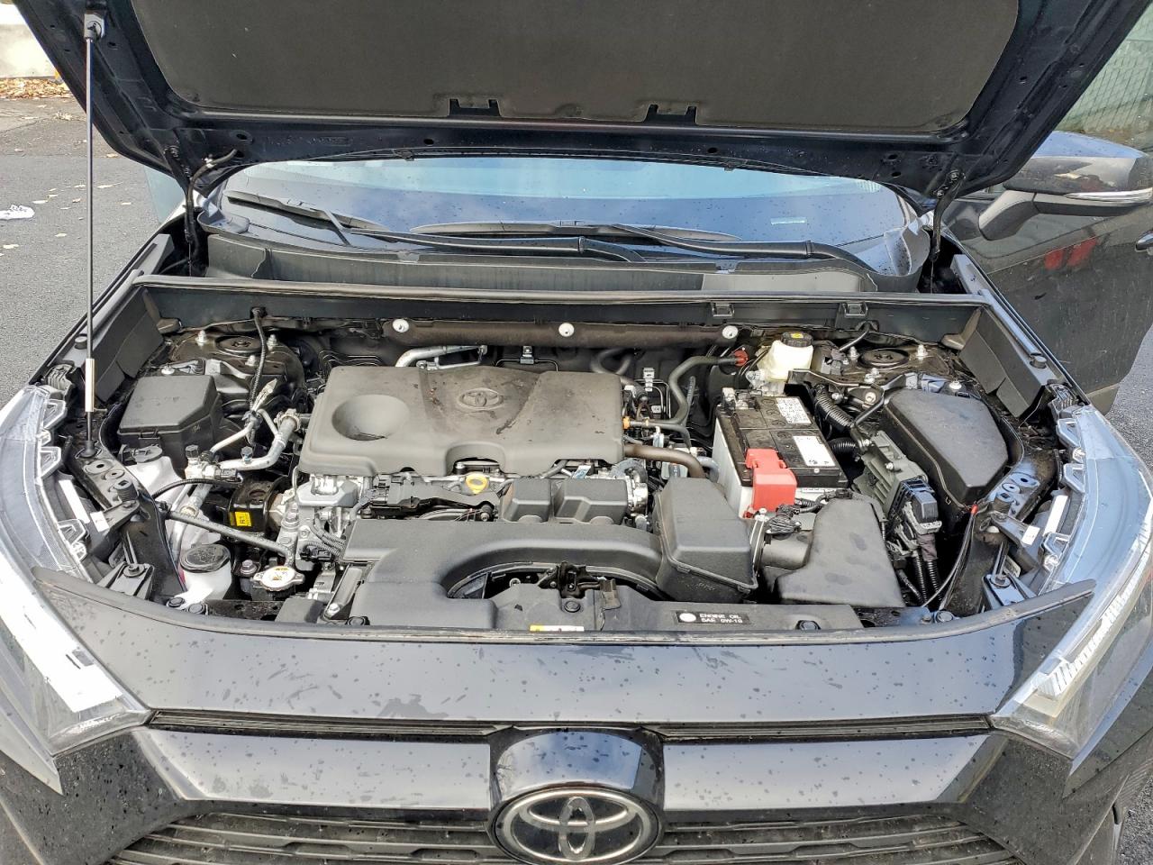 2025 TOYOTA RAV4 XLE photo 11