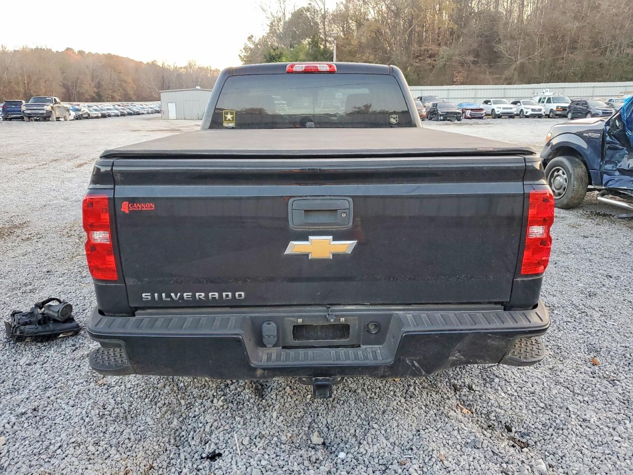 2017 CHEVROLET SILVERADO C1500 CUSTOM photo 6
