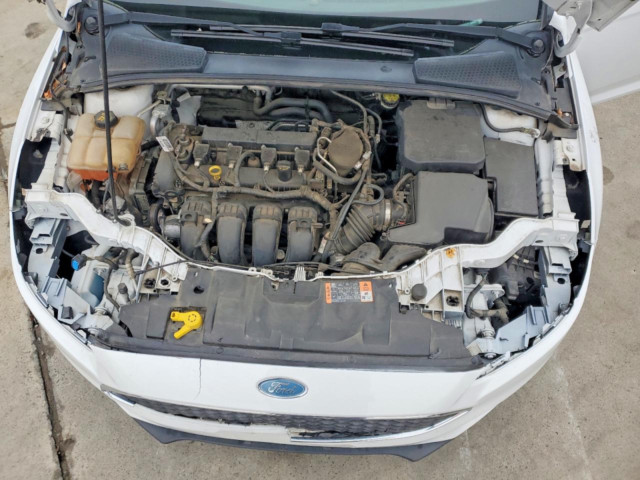 2015 FORD FOCUS SE photo 11