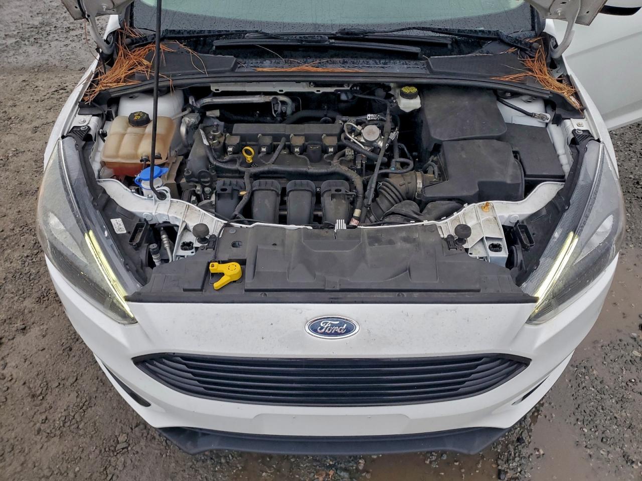 2018 FORD FOCUS SE photo 11