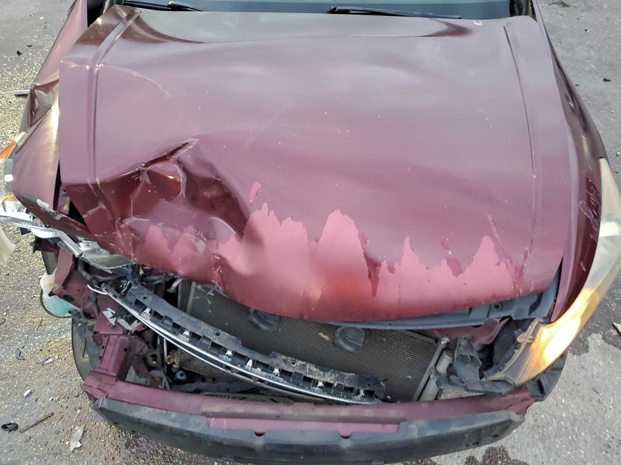 2010 HONDA ACCORD LXP photo 11