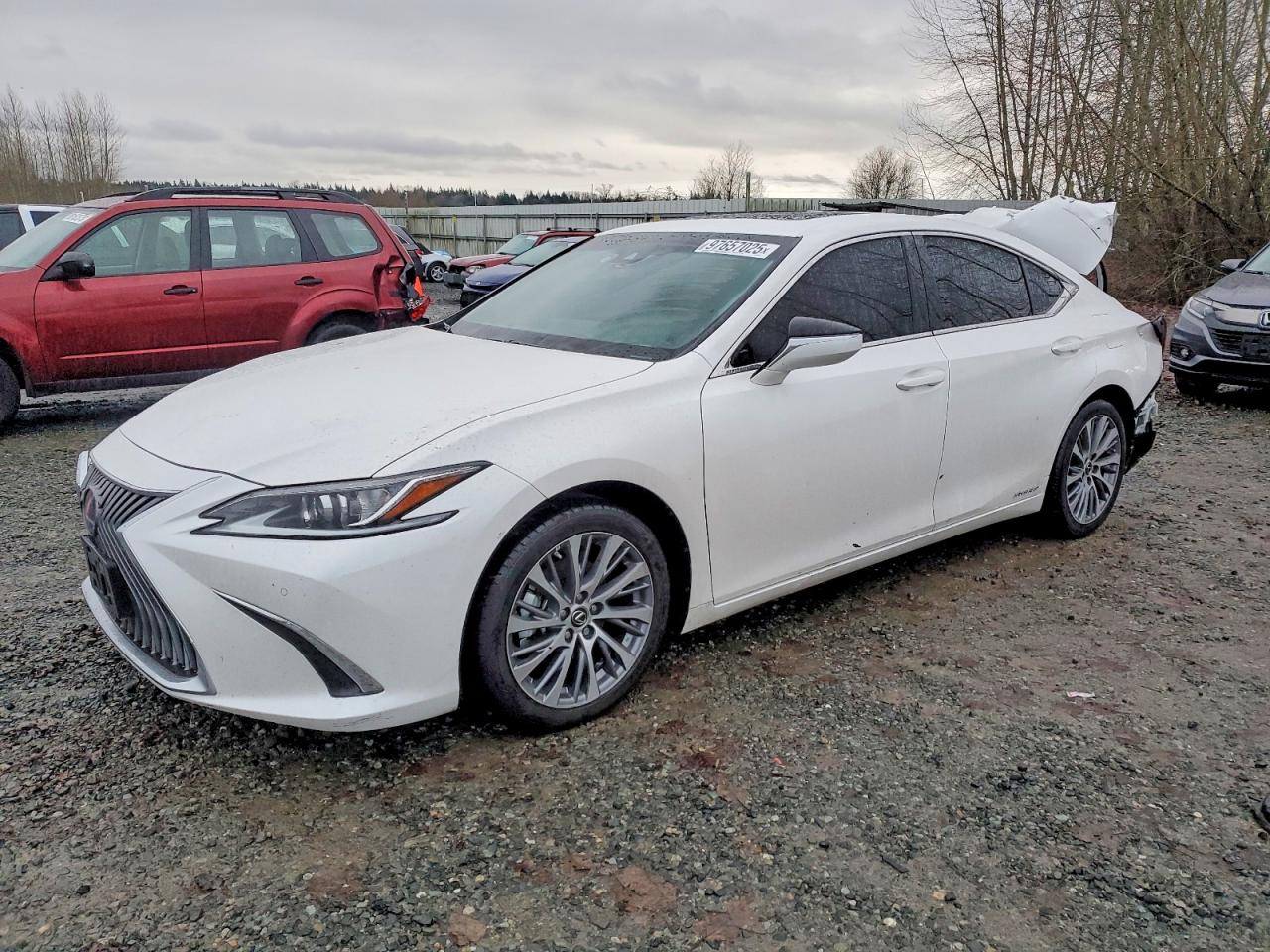2021 LEXUS ES