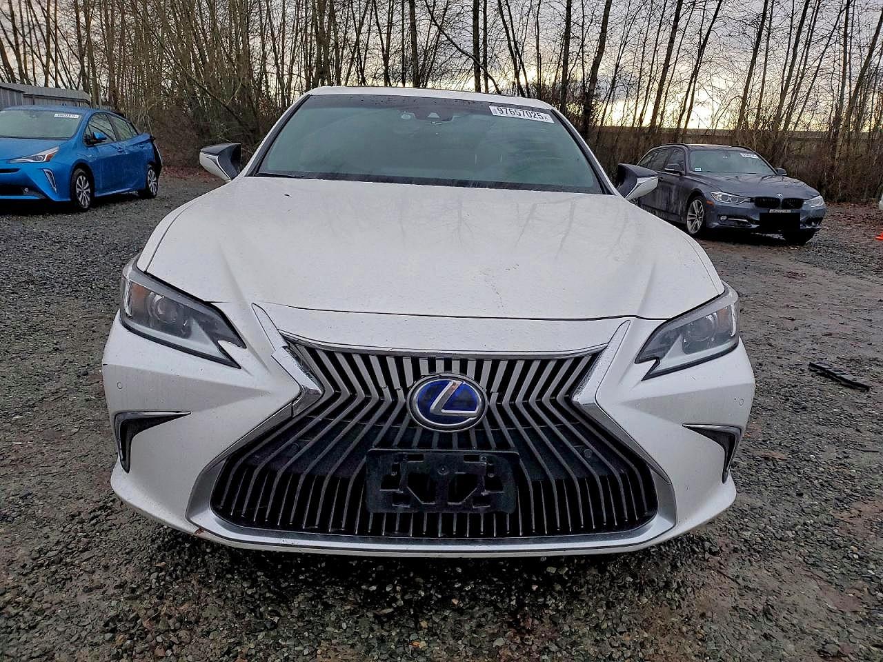 2021 LEXUS ES 300H photo 5