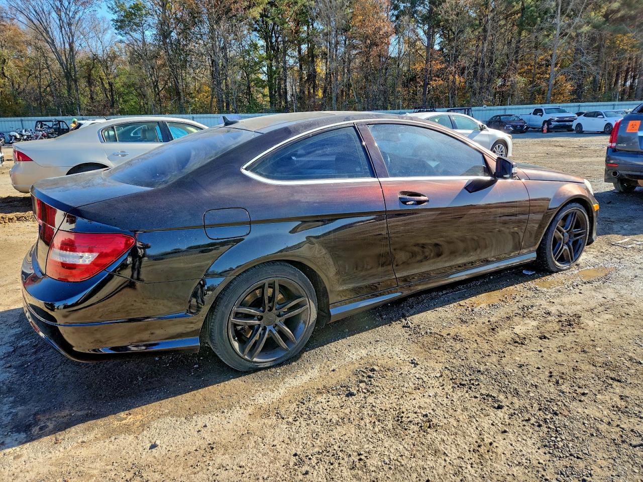 2013 MERCEDES-BENZ C 250 photo 3