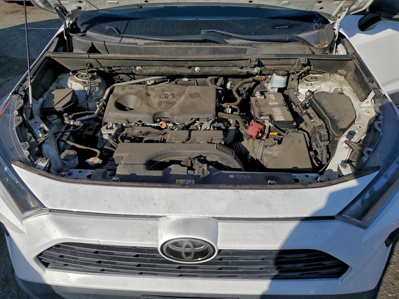 2019 TOYOTA RAV4 LE photo 11
