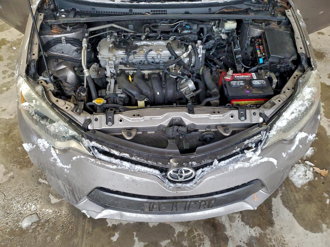 2016 TOYOTA COROLLA ECO photo 11
