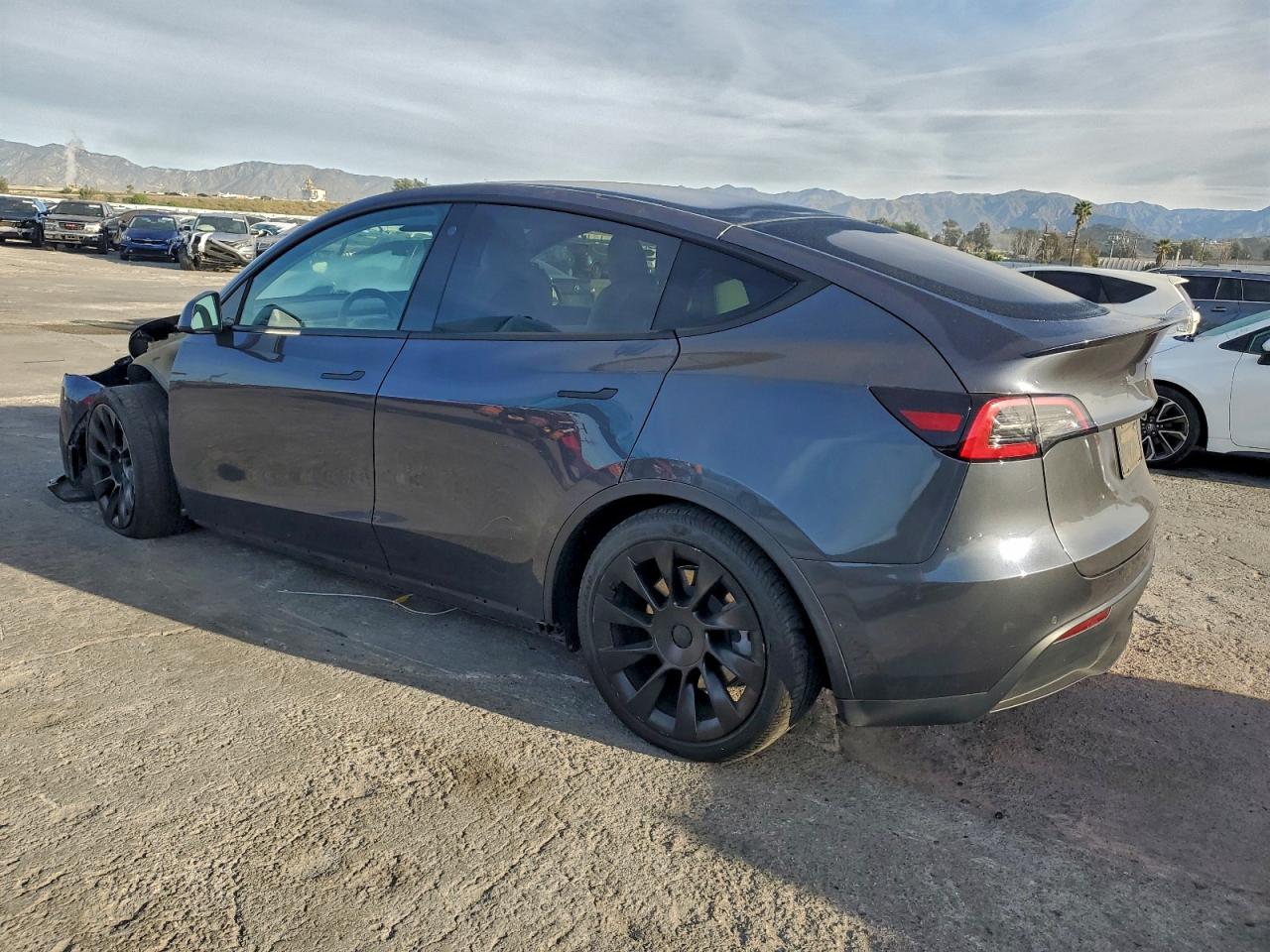 2021 TESLA MODEL Y photo 2