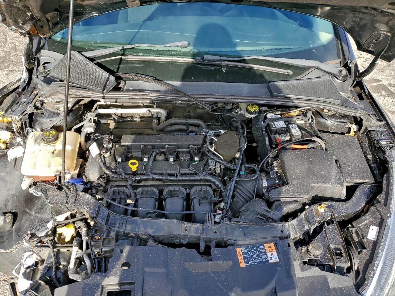 2015 FORD FOCUS SE photo 11