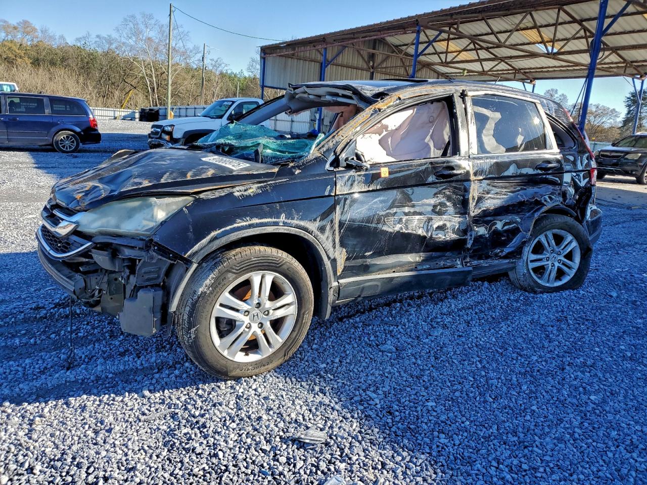 2010 HONDA CR-V