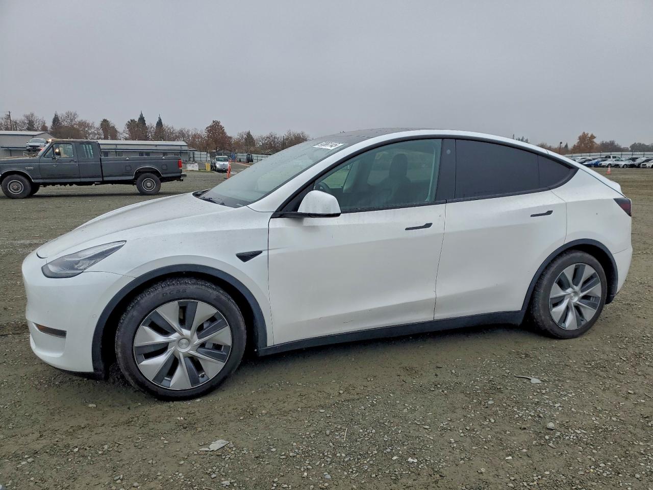 2021 TESLA MODEL Y