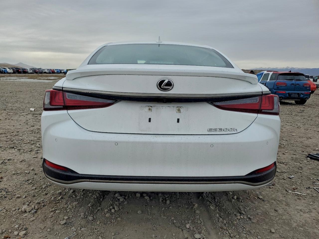2025 LEXUS ES 300H BASE photo 6