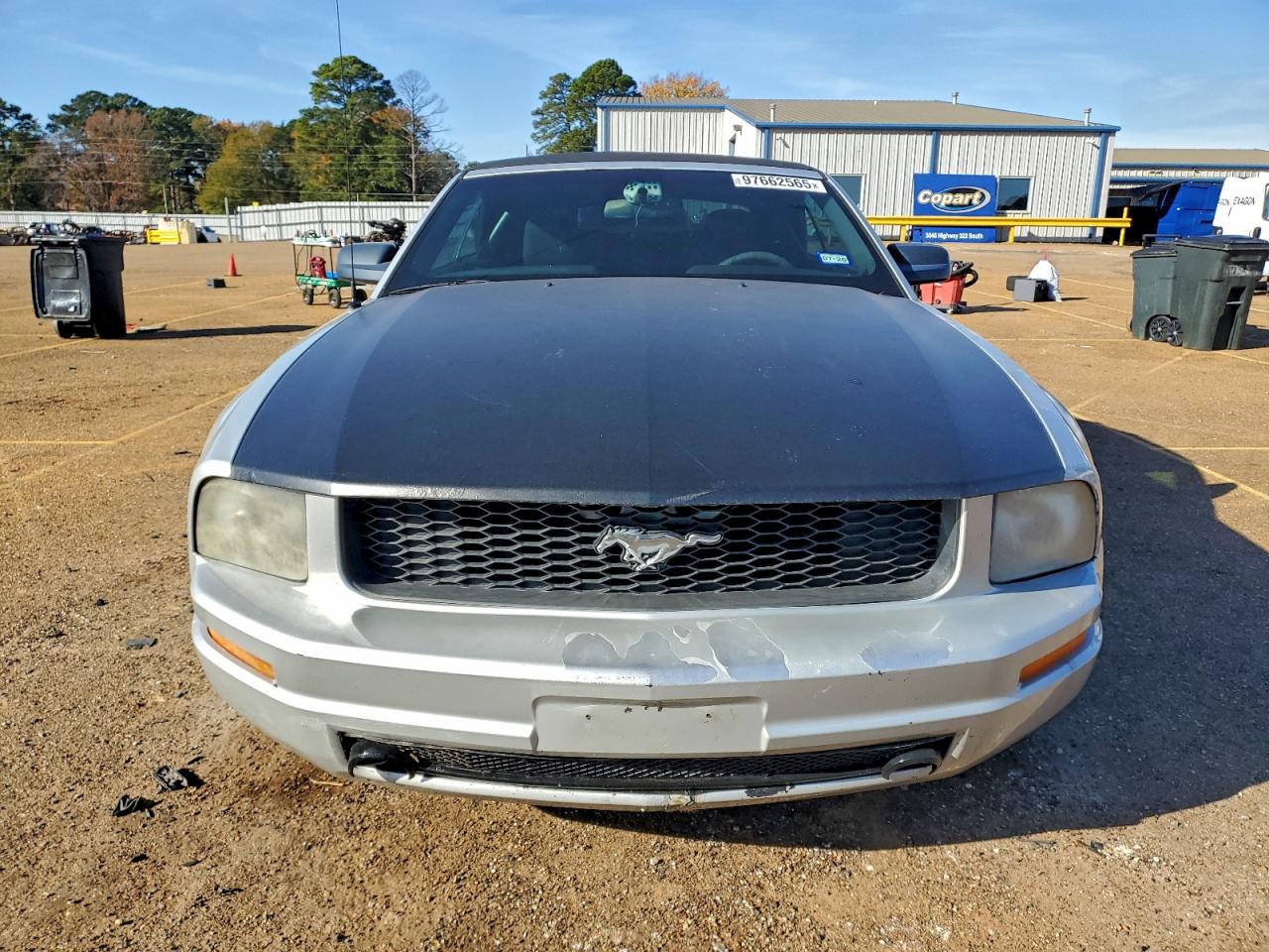 2007 FORD MUSTANG photo 5
