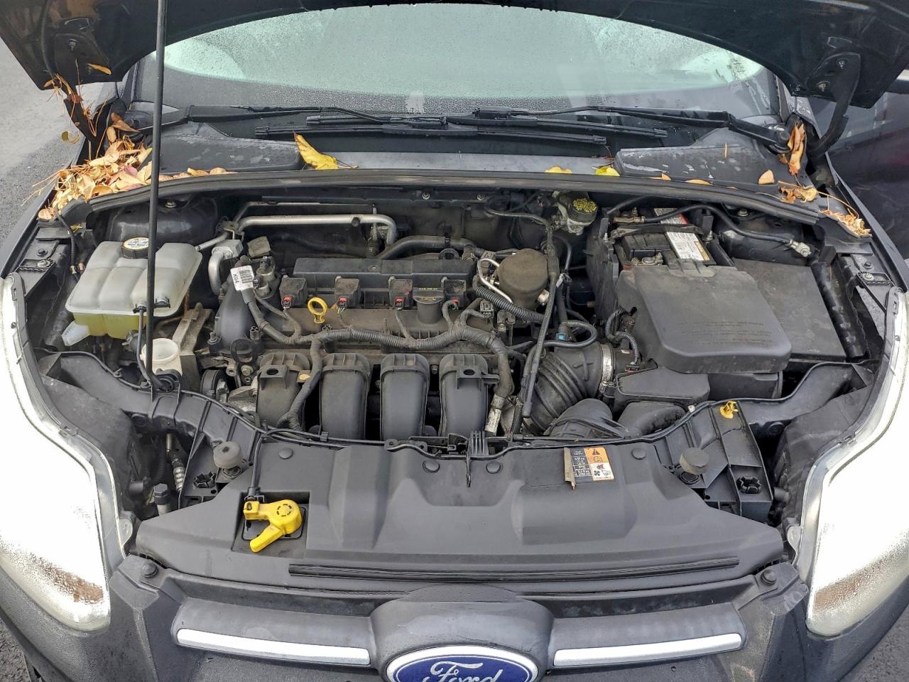 2014 FORD FOCUS SE photo 11
