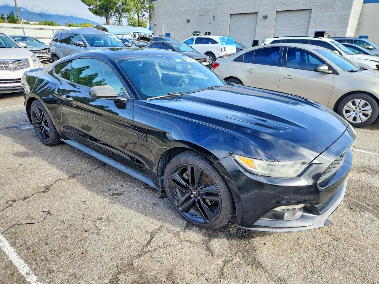2015 FORD MUSTANG photo 4