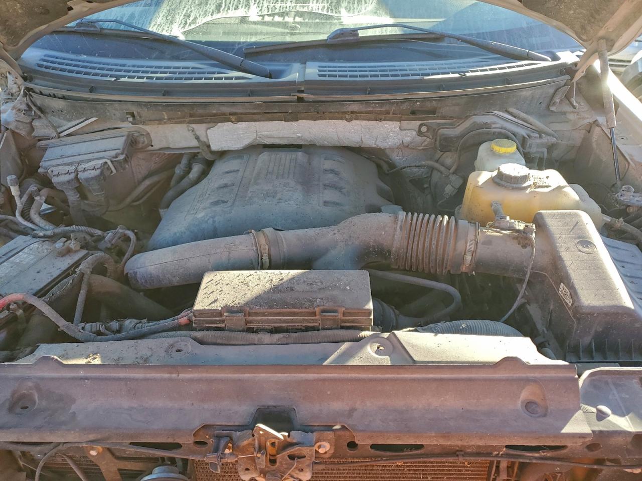 2014 FORD F150 photo 11