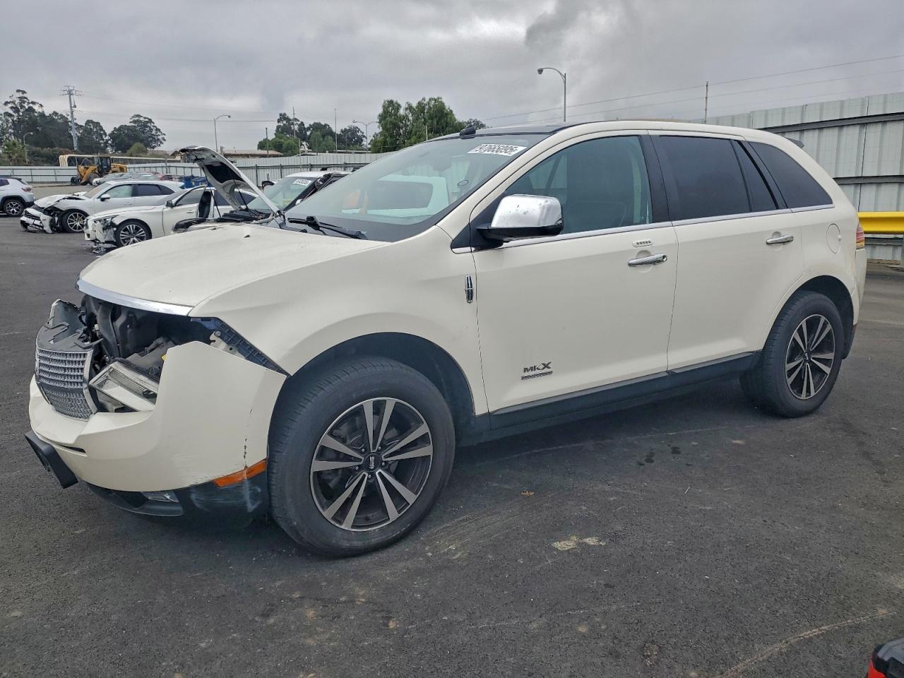 2008 LINCOLN MKX
