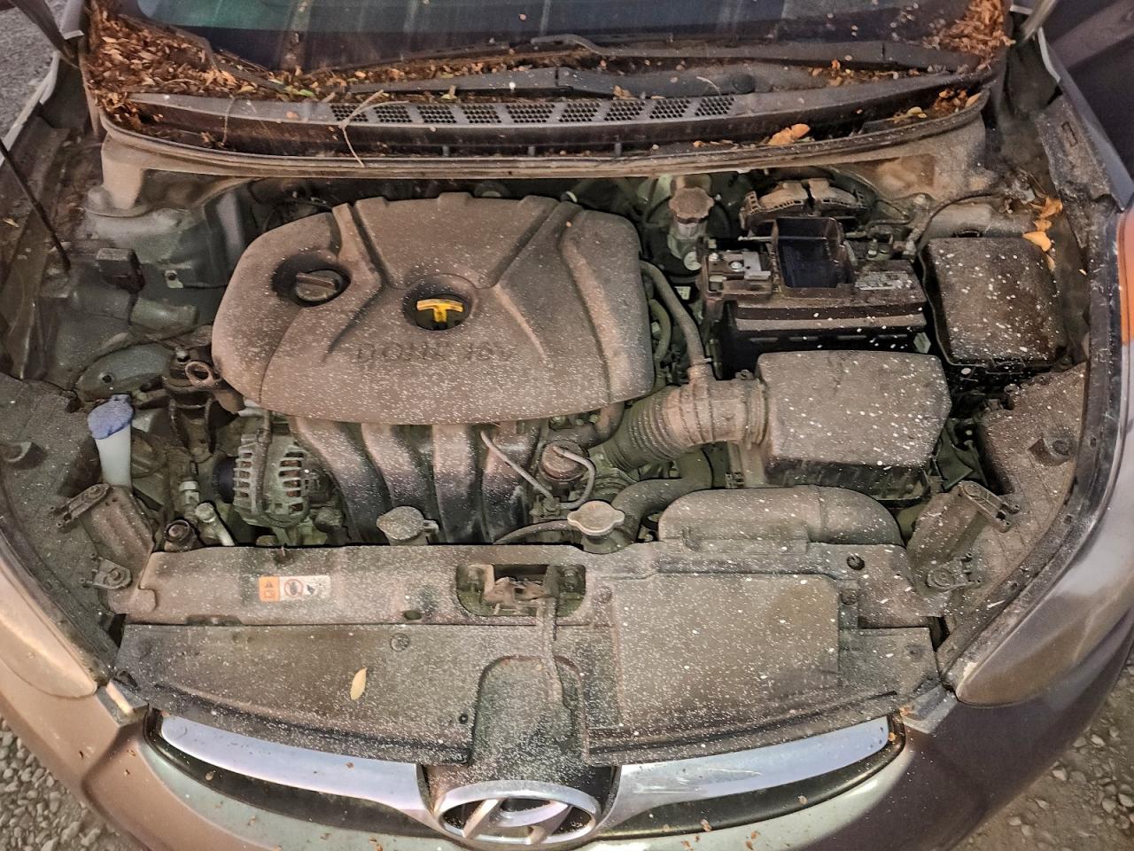 2013 HYUNDAI ELANTRA GLS photo 11