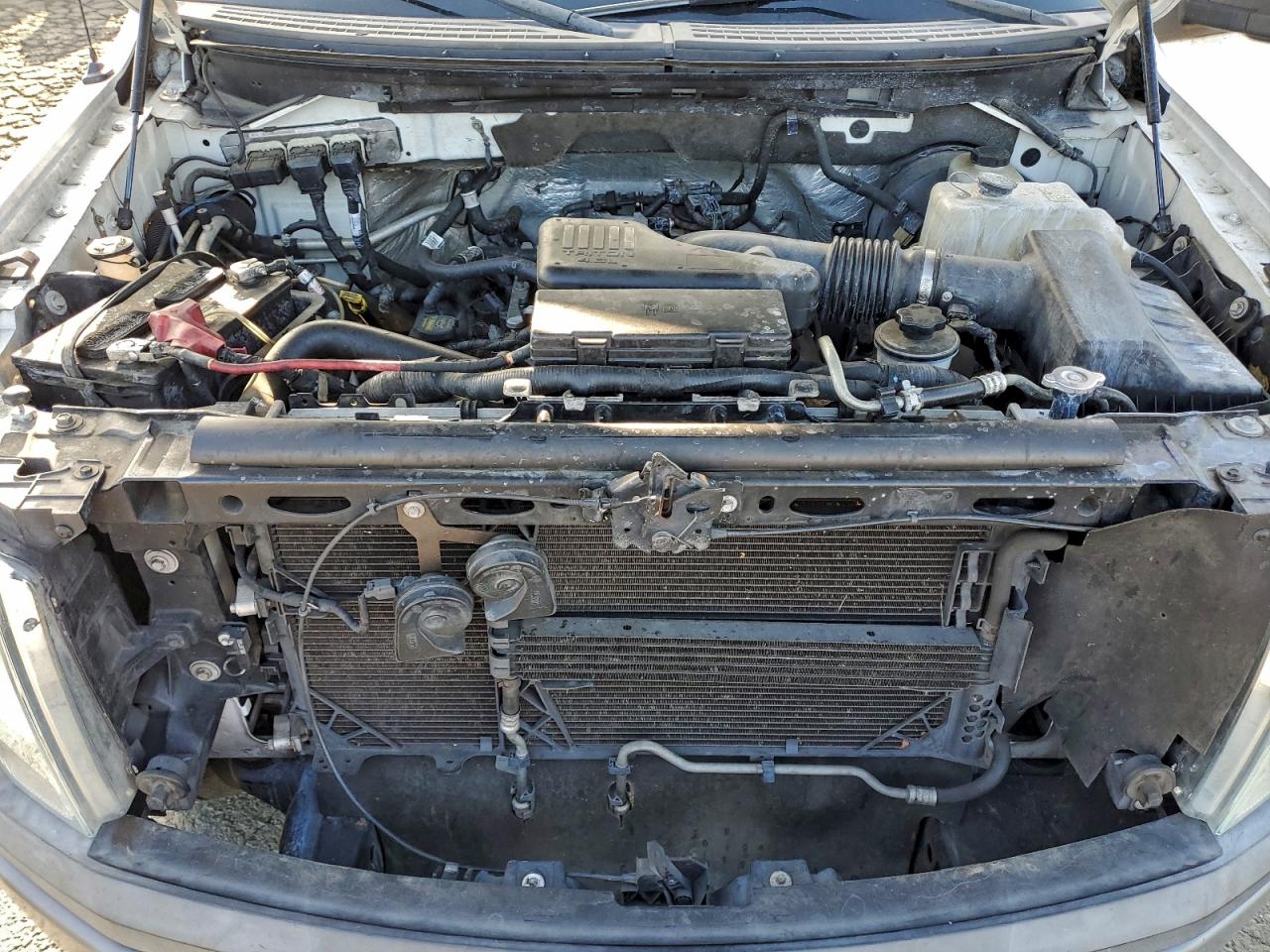 2010 FORD F150 photo 11