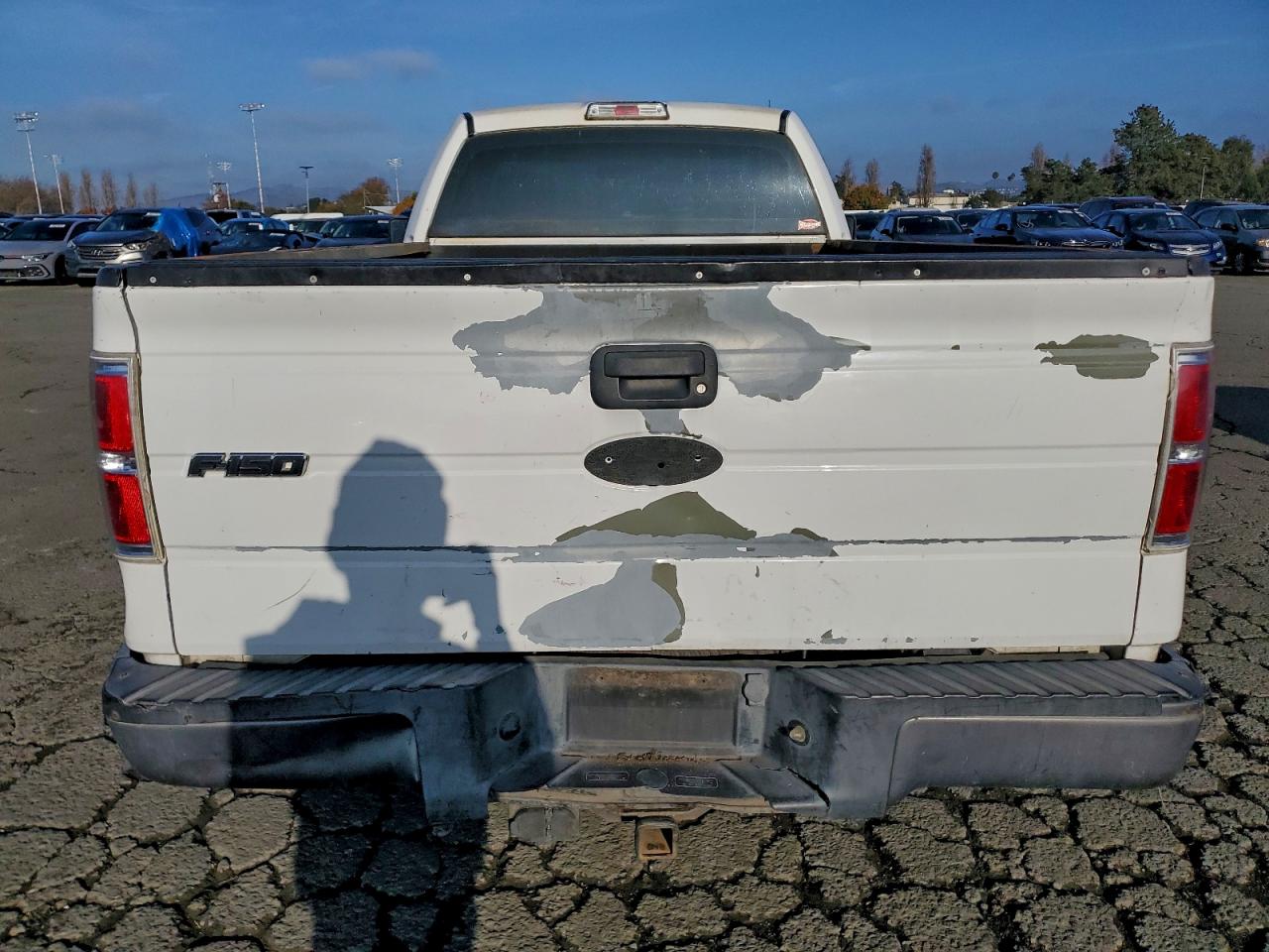 2010 FORD F150 photo 6