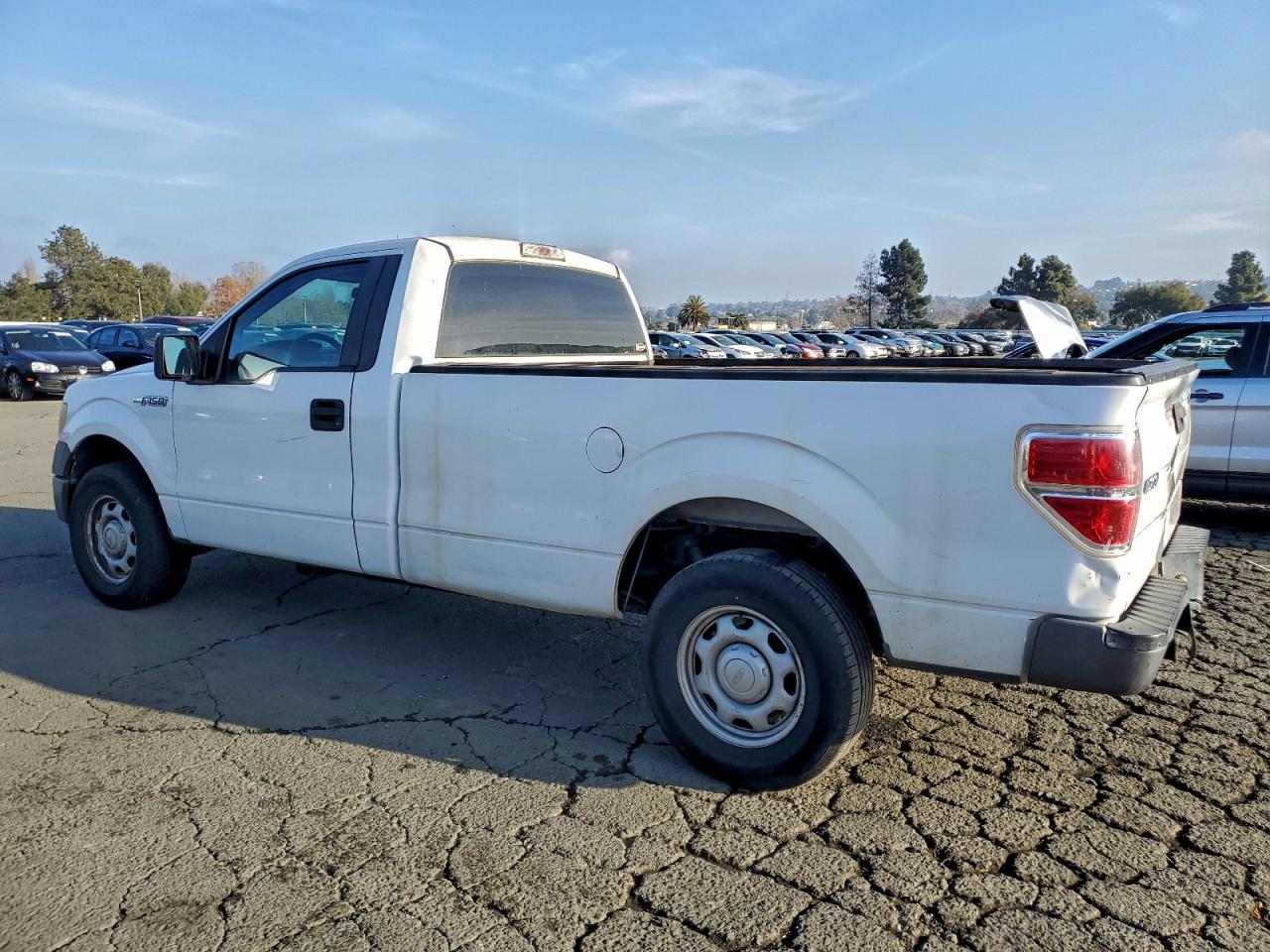 2010 FORD F150 photo 2