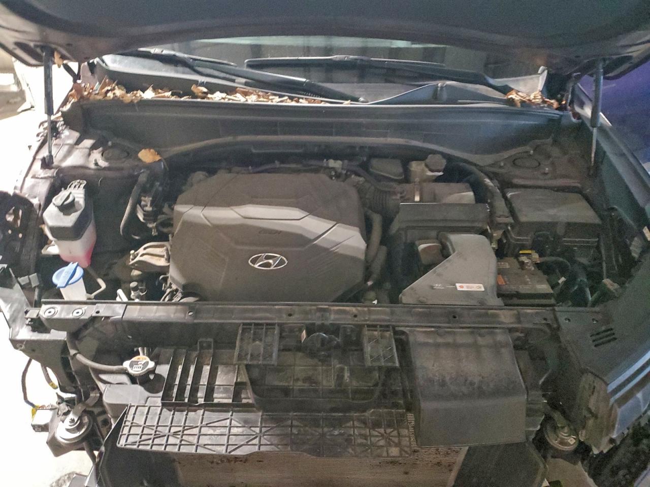 2024 HYUNDAI PALISADE LIMITED photo 12