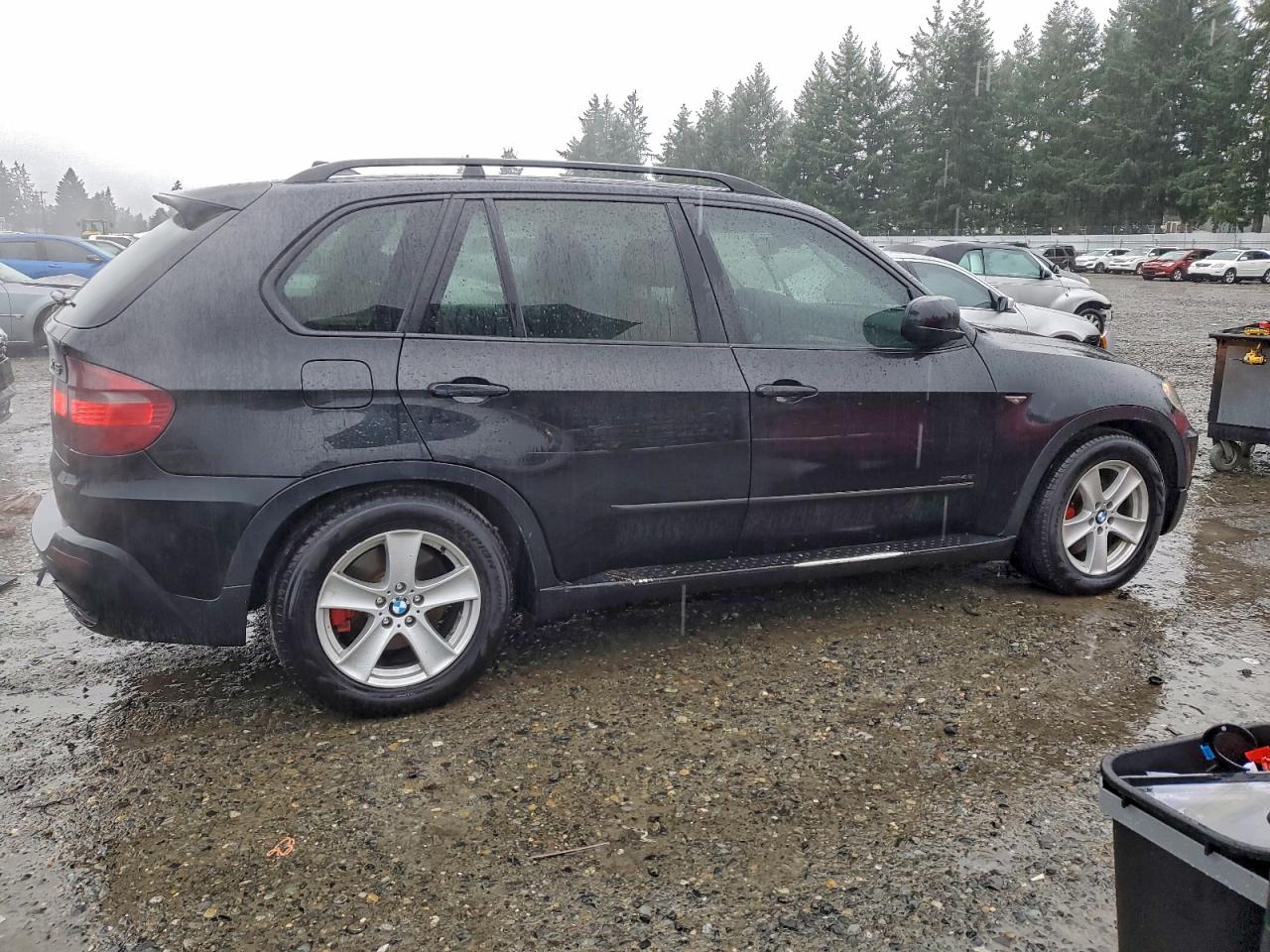 2010 BMW X5 XDRIVE48I photo 3