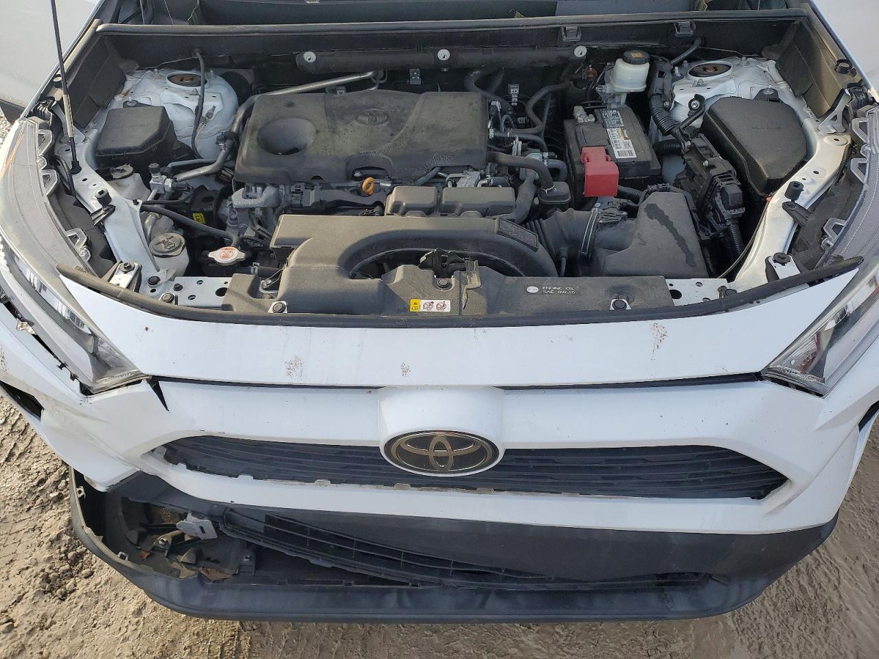 2019 TOYOTA RAV4 XLE photo 12